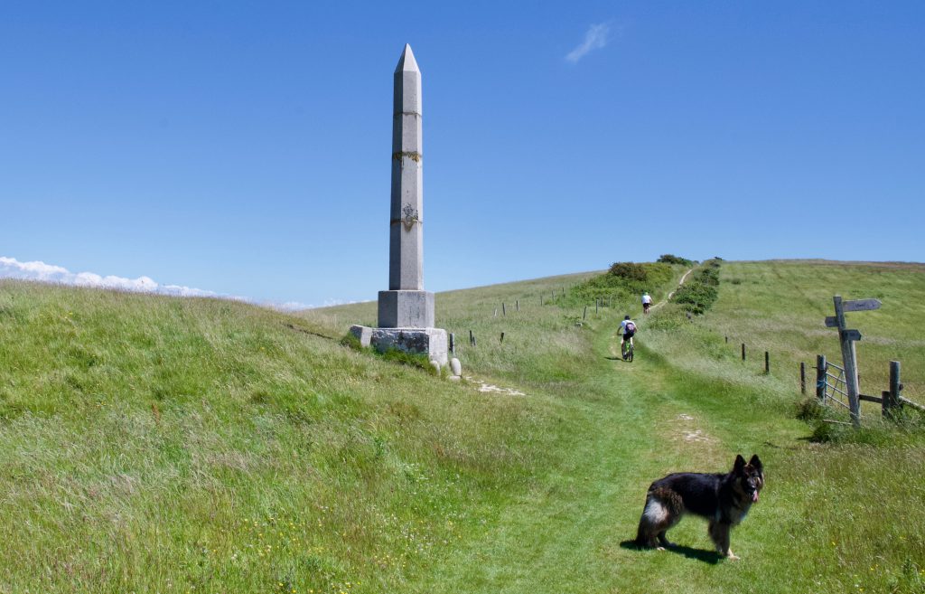 Obelisk and dog Ballard Down