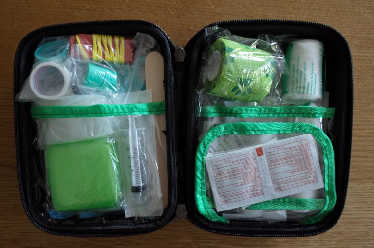 Dog Walking Transport and Essential Equipment Outdoor Paws Bristol