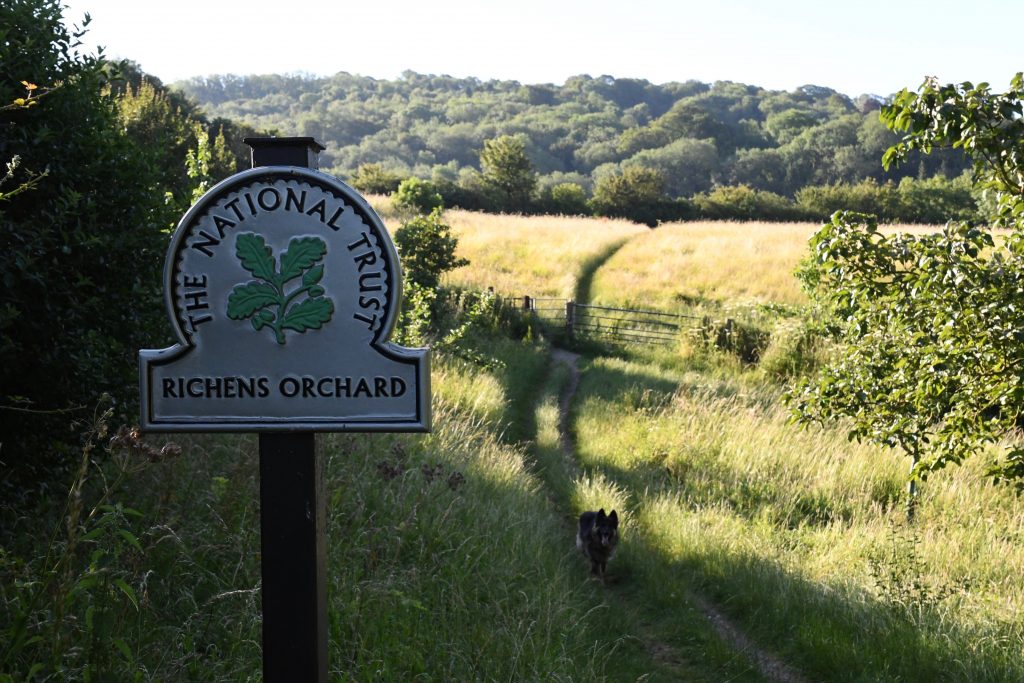 Richens Orchard The National Trust